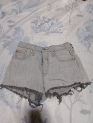 Levi's Premium Denim Shorts