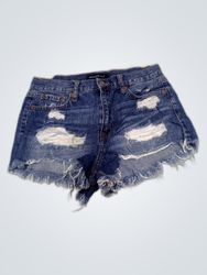 High Rise Denim Shorts