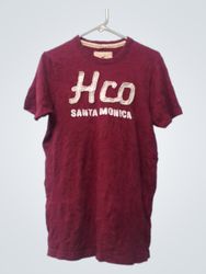 Hollister California "Hco Santa Monica" T-shirt