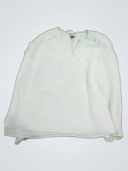 Ann Taylor Ruffle Blouse