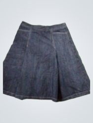 Ann Taylor Denim Mini Skirt