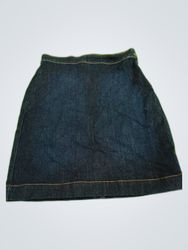 Ann Taylor Denim Mini Skirt