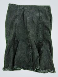 Nicole Denim Mini Skirt