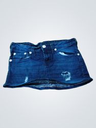 True Religion Denim Skirt