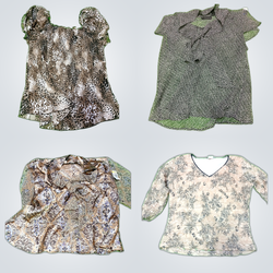 Floral Print Blouses Bundle