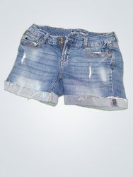 Arysa Jeans Distressed Denim Shorts