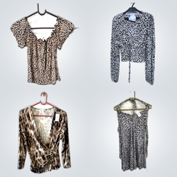 Animal Print Y2K Tops +Dresses Mix(FV 545)