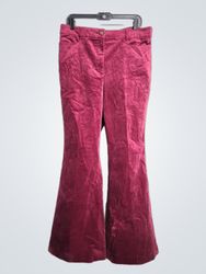 Loft Velvet Flare Pants
