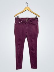 True Religion Skinny Jeans