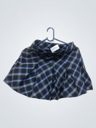 Blue Plaid Pleated Skirt