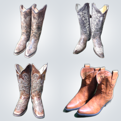 Y2K Cowboy Boots Bundle
