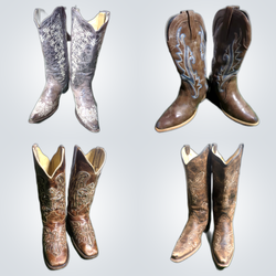 Y2K Cowboy Boots Bundle