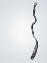 Cinto estiloso Y2k ou tornozeleira