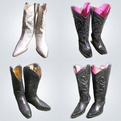 Y2K Cowboy Boots Bundle