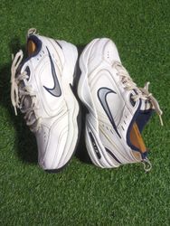 Nike Air Max Sneakers