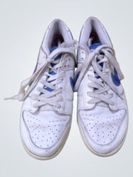 Nike Dunk Low White Blue Sneakers