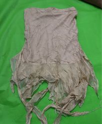 Bebe Sheer Distressed Top