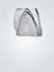 Coach Signature Tote Bag