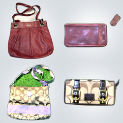 Coach Y2K Small Handbags