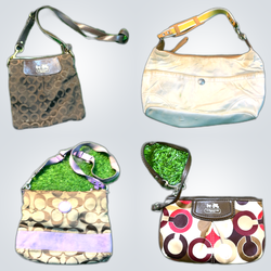 Coach Y2K Small Handbags