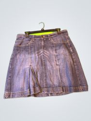 Lucia Classics Denim Mini Skirt