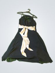 Jessica Black Sash Mini Dress