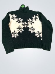 Express Turtleneck Sweater
