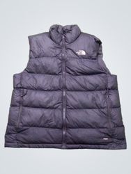 The North Face 700 Puffer Vest