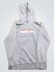 Patagonia Organic Cotton Hoodie