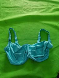Blue Bra