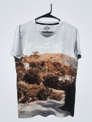 Hollister Graphic T-Shirt