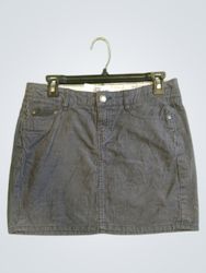 Gray Skirt