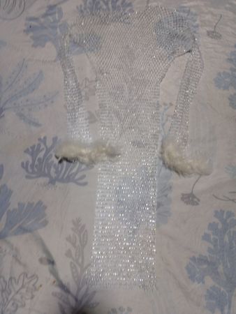 Sheer Mesh Blouse with Fur Trim