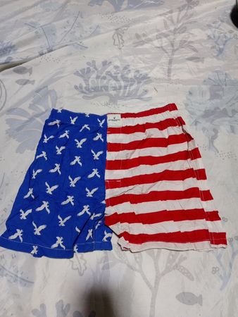 American Eagle American Flag Swim Shorts
