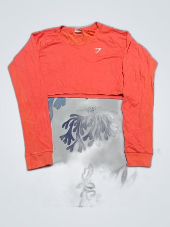 Gymshark Orange Cropped Long Sleeve Top