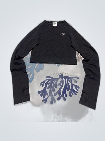 Gymshark Long Sleeve Crop Top