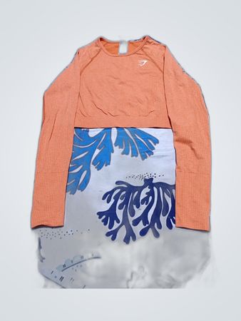 Gymshark Orange Long-Sleeve Crop Top