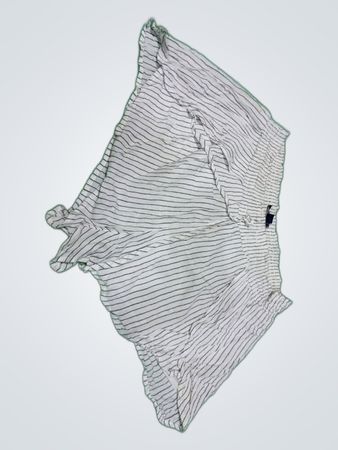 American Eagle Striped Shorts