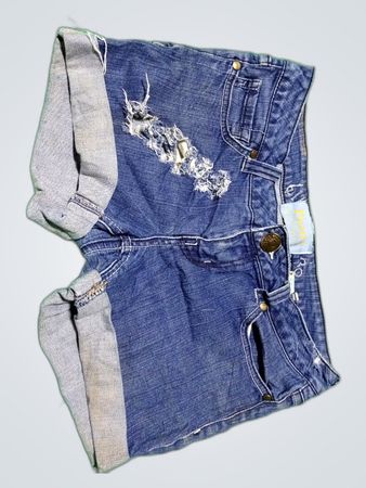 Desire Distressed Denim Shorts
