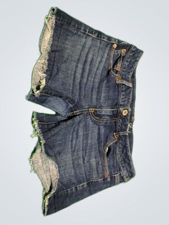 American Eagle Denim Shorts
