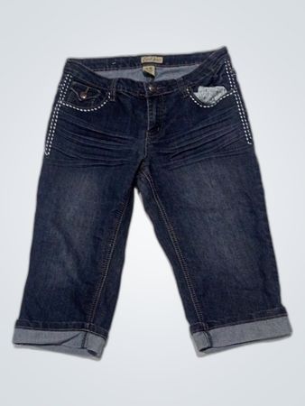 Earl Jean Denim Shorts