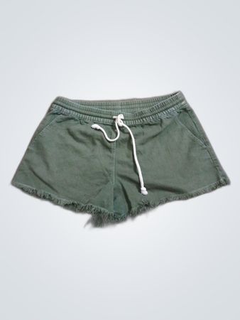 Aerie Green Shorts
