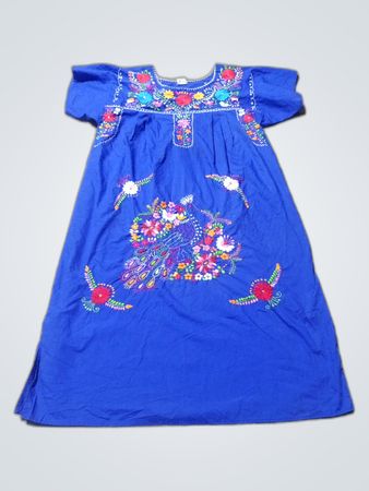 Embroidered Blue Dress