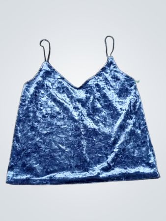 Blue Velvet Top