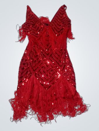 Red Fringed Sequined Dress