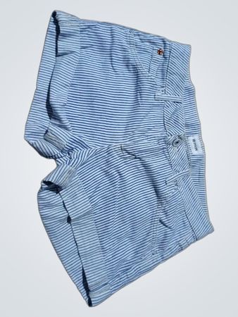 Hudson Striped Shorts