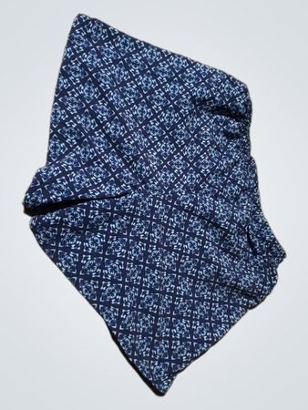 Patagonia Blue Patterned Shorts