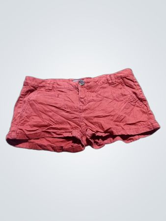 Express Rust Chino Shorts