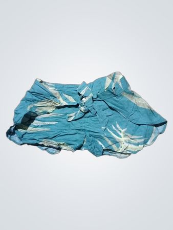 Patagonia Shorts