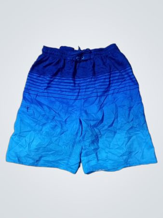 Burnside Blue Ombre Swim Shorts